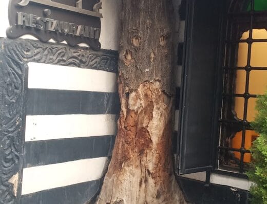 مطعم عنبر