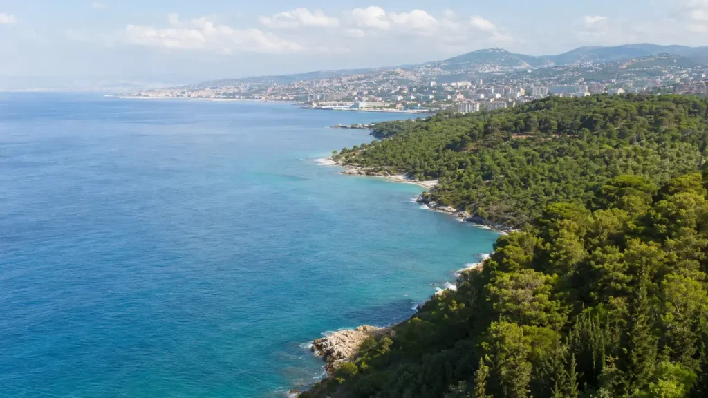 Latakia